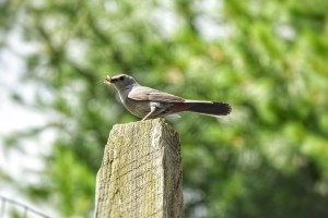 img_1948
