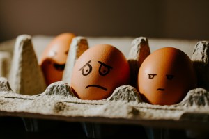 https://unsplash.com/photos/brown-eggs-in-a-box-LUYD2b7MNrg?utm_source=unsplash&utm_medium=referral&utm_content=creditShareLink
